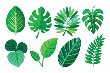 Collection of Green Tropical Leaves with Various Shapes and Patterns