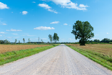 International Off-Road Day, NATIONAL ROAD TRIP DAY, Dusty Road, Fields, Country Side, Blue Sky, Minimal