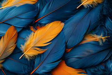 Beautiful background of colorful feathers in blue and yellow colors on a dark black, orange background.