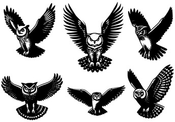 set of OWL, silhouette of owl