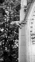 The Central Cemetery in Vienna and a long history