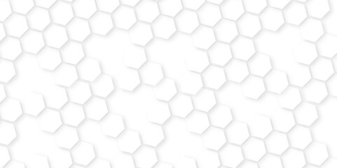 Modern light wide hexagonal background. Luxury White Pattern. wallpaper Illustration. white and gray hexagon honeycomb geometric copy space,white hexagon wallpaper or background,