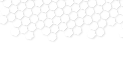 Modern light wide hexagonal background. Luxury White Pattern. wallpaper Illustration. white and gray hexagon honeycomb geometric copy space,white hexagon wallpaper or background,