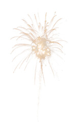 Fototapeta premium PNG Firework fireworks outdoors nature.
