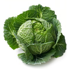 Obraz premium cabbage isolated on white