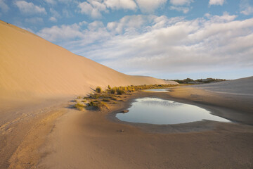 Dune fragment, Łeba, Poland, Słowinski National Park nature reserve, created on January 1, 1967 and covers an area of ​​327.44 km². The central part of the Polish coast, in the Pomeranian Voivodeship.