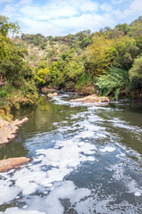 View of a Hennops Hiking Trail, with river running through, small bridge and cableway over the river, Hartbeespoort, Johannesburg, South Africa