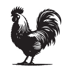Chicken silhouette vector art style