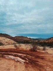 Processed with VSCO with c8 preset