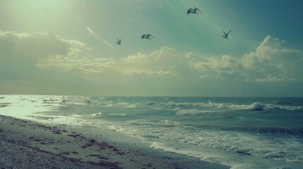 Obraz premium Seagulls flying over the sea with cloudy sky and sun shining.