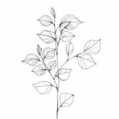 Floral botanical line element for wedding cards
