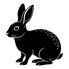 a black and white drawing of a rabbit with big eyes
