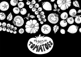 Tomatoes frame. Hand drawn illustration. Tomato vegetable sketch. Organic tomato design template. Vector illustration. Package design elements.