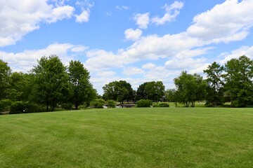 Fototapeta premium The green grass field in the country on a sunny day.