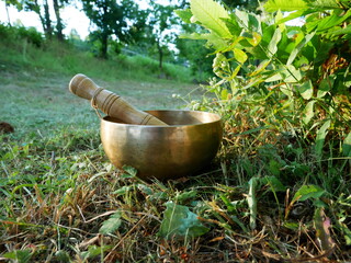 Singing bowl with nature in the background