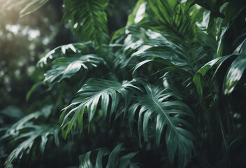 Tropical leaves foliage plant jungle bush floral