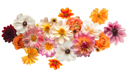 bunch of colorful flowers isolated on transparent background