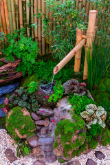 Minimal Japanese garden in home.