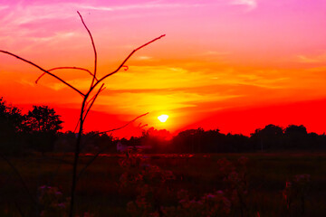 The atmosphere of the evening sunset, light shining through the branches, creating beautiful, natural shadows, Lamphun Province, Northern Thailand, Southeast Asia.