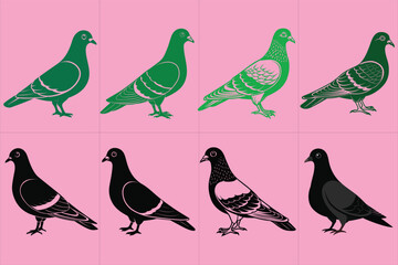 Print  Pigeon vector illustration