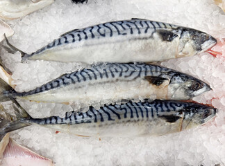  fresh fish seafood in supermarket.choosing a dairy products at supermarket.