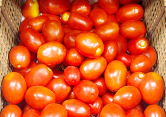 choosing tomatoes at the grocery store