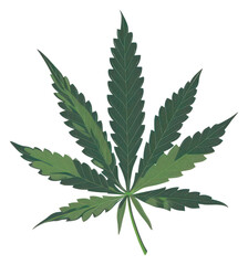 PNG Cannabis leaf plant herbs medicine.