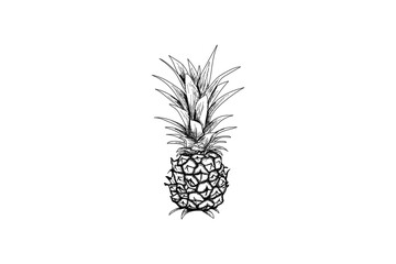 Pineapple vector.