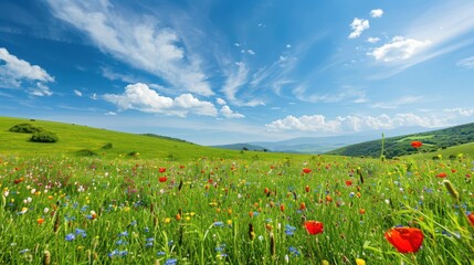 Lush green meadow filled with wildflowers and a clear blue sky, epitomizing the freshness of spring