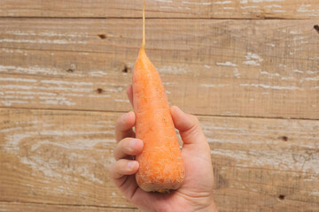 A Hand Holding a Fresh and Crisp Carrot Against a Rustic Wooden Background Surface