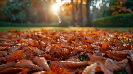 Brown dried leaves spread on lawn during rainy fall afternoon
