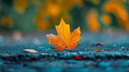 Golden leaf resting on ground after falling from great height in autumn