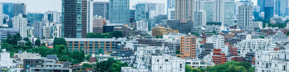 Fototapeta premium 高台から望む都市のビル群