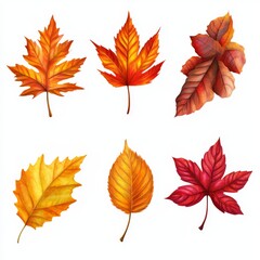 Fototapeta premium set of Fall Leaves