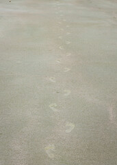 footprints in the sand on Folly beach in South Carolina