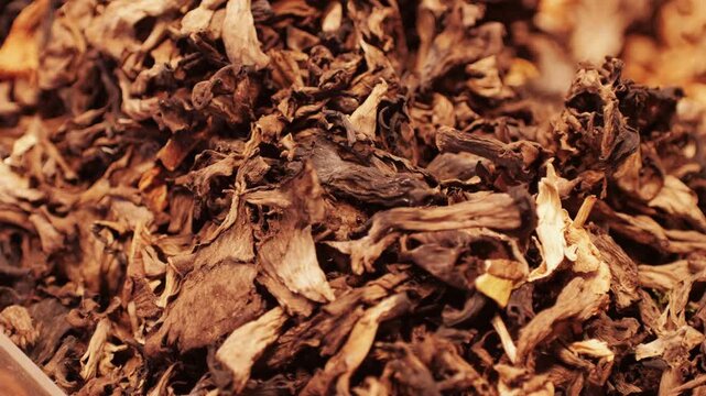 Dried Herbs and Spices for Various Culinary Uses in Cooking and Flavor Enhancement