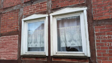 A charming brick building adorned with cute cats lounging playfully in the windows above
