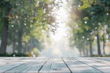 A Serene Forest Pathway bathed in Soft Natural Light, ideally suited for peaceful explorations