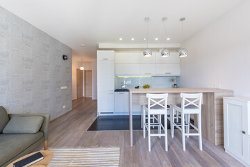 Modern Home Living Room and Kitchen Interior. Luxurious Stylish Modern Apartment. Open Interior,...