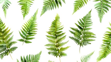 Whimsical fern leaves background natural