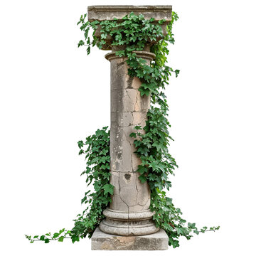 recommend clip art: Antique column with overgrown foliage clip art