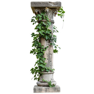 recommend clip art: Antique column with overgrown foliage clip art