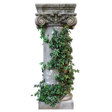 recommend clip art: Antique column with overgrown foliage clip art