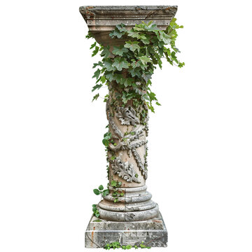 recommend clip art: Antique column with overgrown foliage clip art