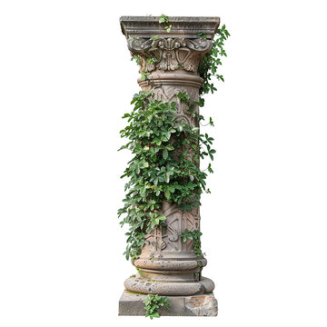 recommend clip art: Antique column with overgrown foliage clip art