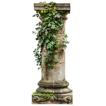 recommend clip art: Antique column with overgrown foliage clip art