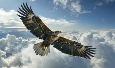 Obraz premium Majestic eagle soaring in the sky, powerful and free