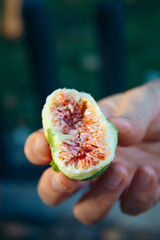 fig cut in half