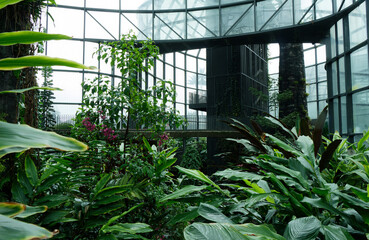 Tropical vegetation inside the greenhouses of the Jardin Botanico de Bogotá : Botanical Garden of...