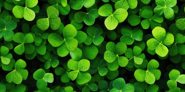 Irish Clovers for Saint Patricks Day Decorations.